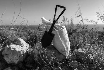 Soil for the art installation